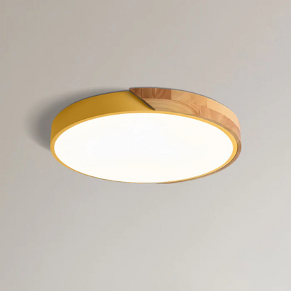 Scandinavian Style LED Ceiling Light Fixture - Image 18